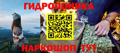 мяу мяу кристалл Гусь-Хрустальный